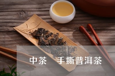 中茶 手撕普洱茶/2023041100805